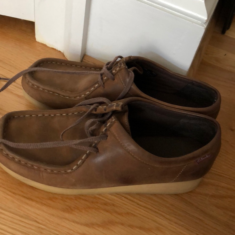 Clark’s Wallabies